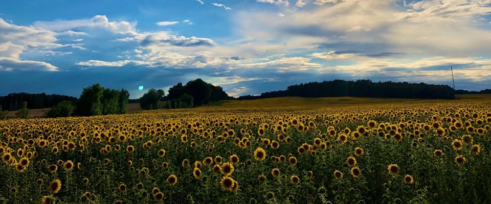 Ihr Teamevent in Berlin: Unvergessliche Teambuilding-Ideen