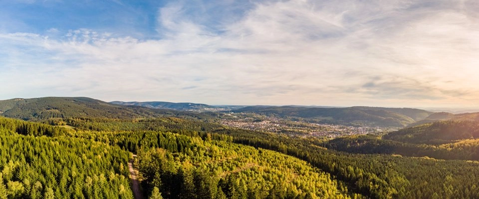 Teamevents im Schwarzwald: 37 Ideen zum Teambuilding