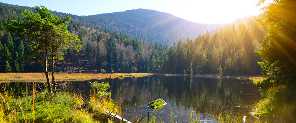 Teamevents im bayerischen Wald: 37 Ideen zum Teambuilding