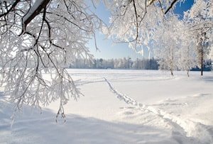 Münchener Teamgeist auch im Winter wecken