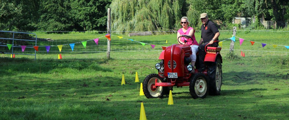 Bauernhof Spiele, Rallye mit Pferden 3