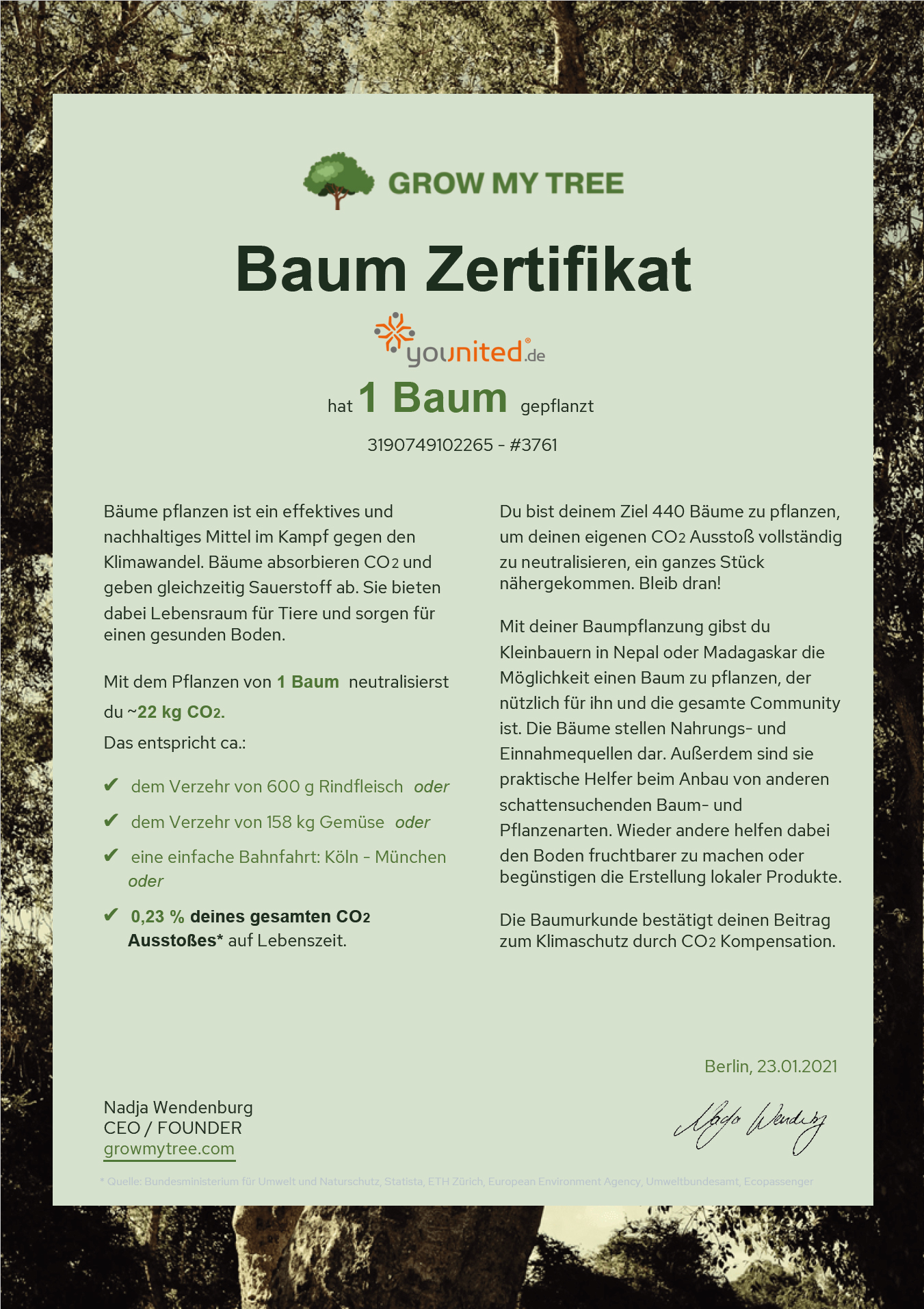 Zertifikat Baumpflanzung