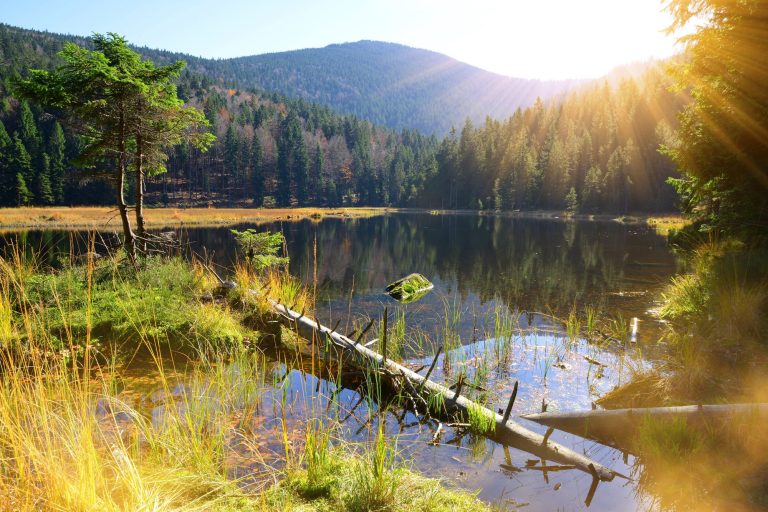 Teamevents in Bayerischer Wald