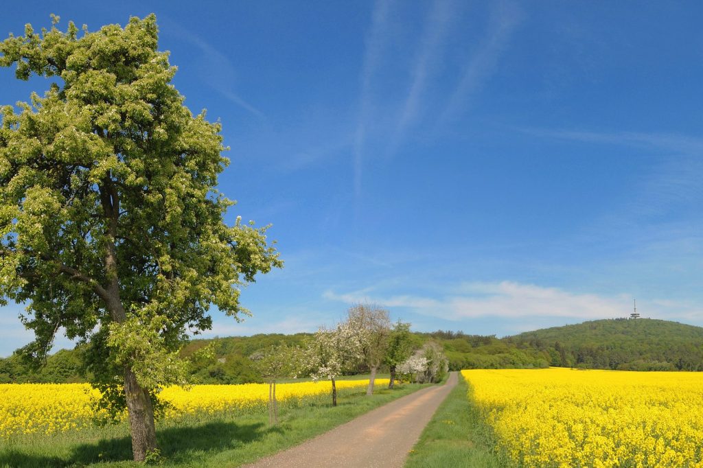 Teamevents in Hessen