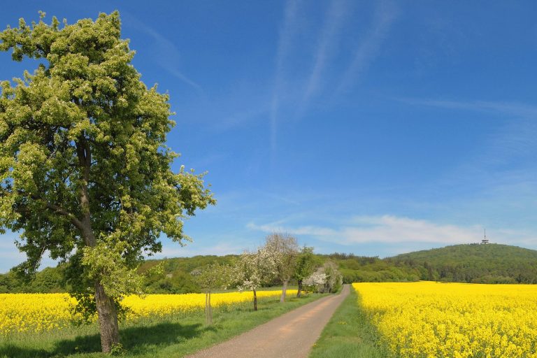 Teamevents in Hessen