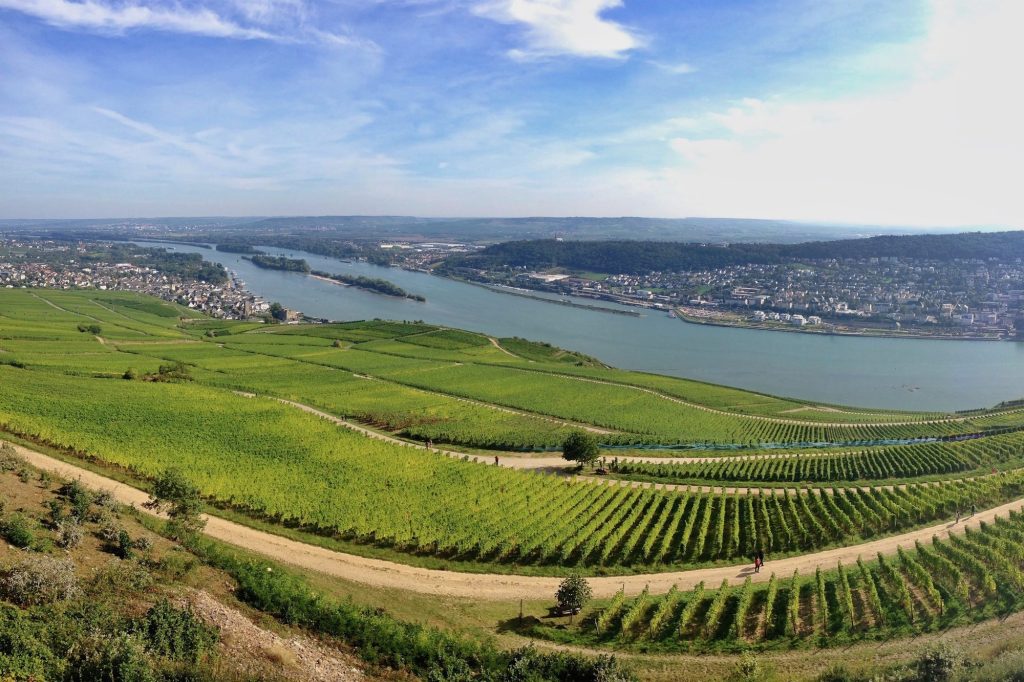 Teamevents in Rheingau