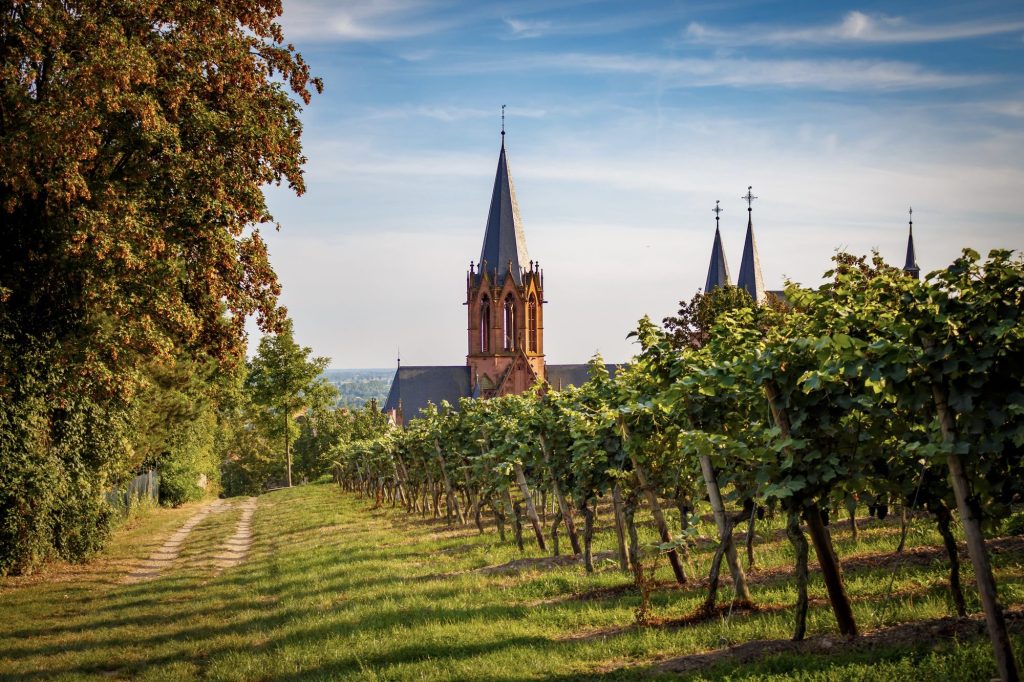 Teamevents in Rheinhessen