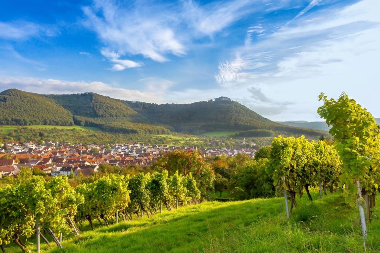 Teamevents in Schwäbische Alb