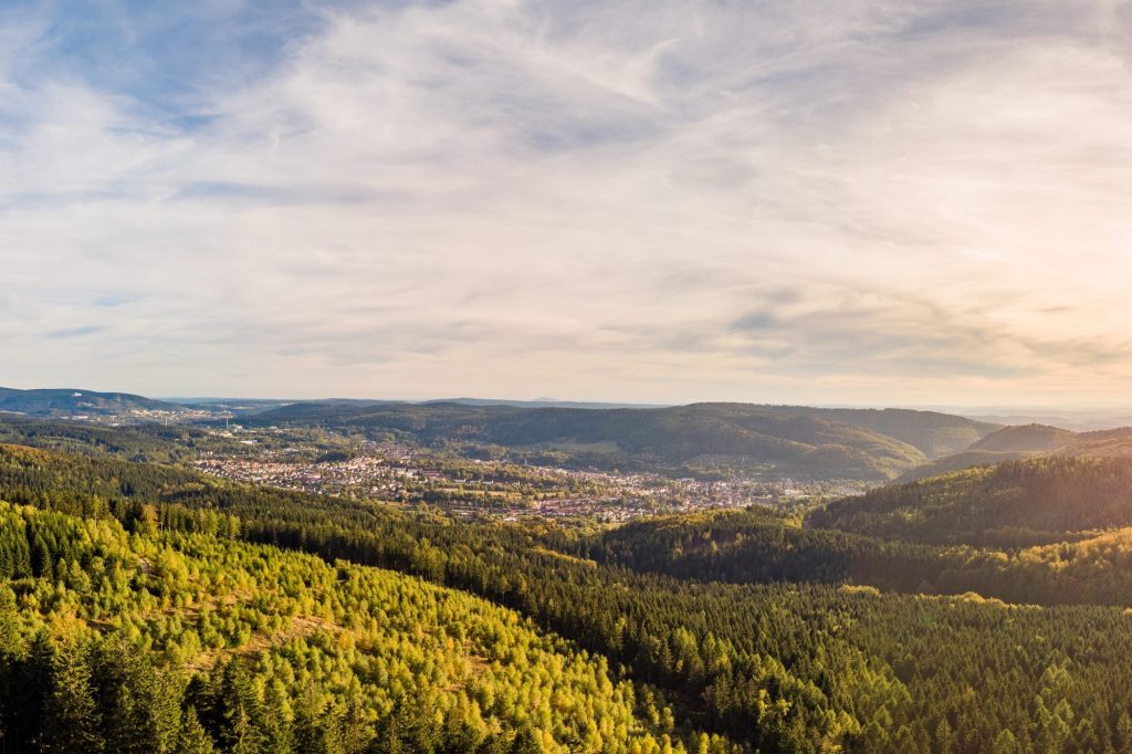 Teamevents in Schwarzwald
